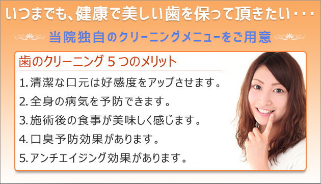 独自のクリーニングメニュー